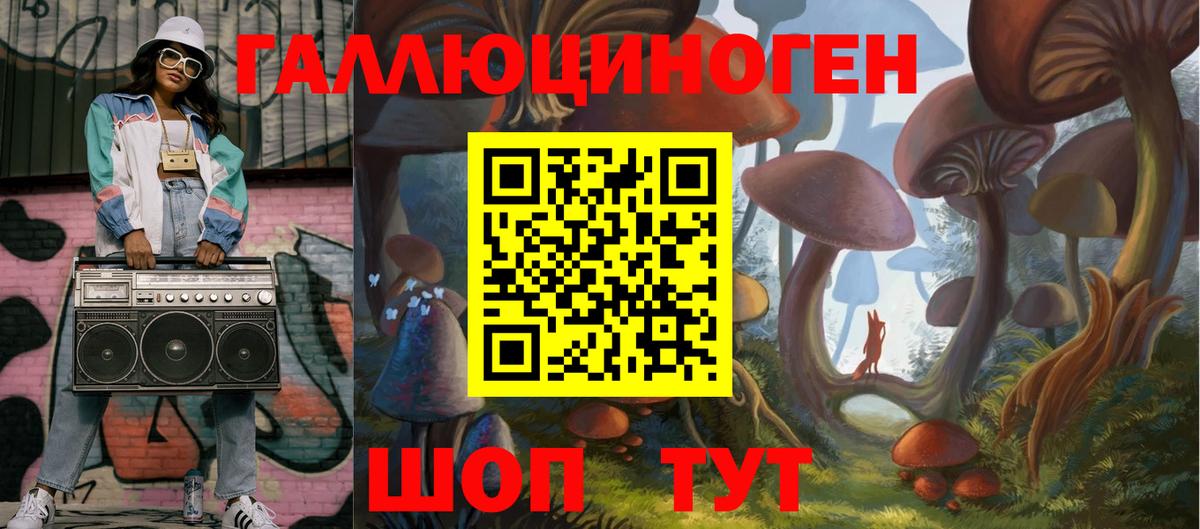Галлюциногенные грибы Cubensis Чернушка